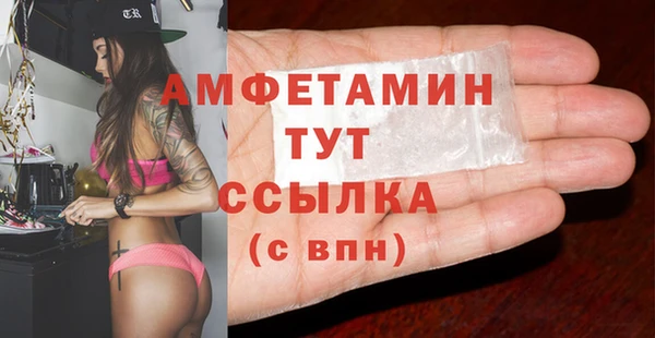 амф Аркадак
