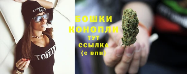 амф Аркадак