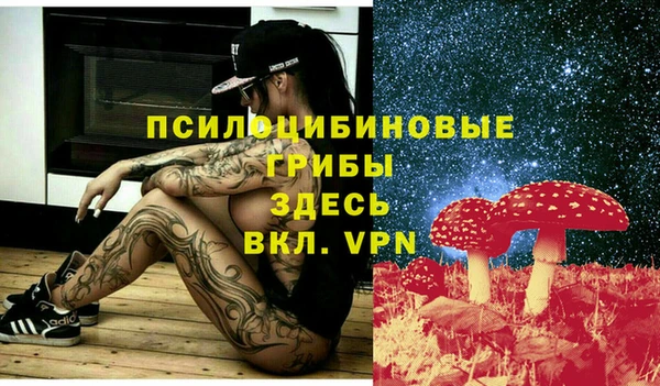 mdpv Арсеньев