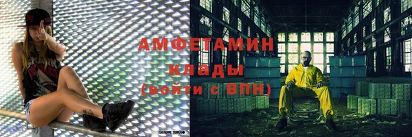 амф Аркадак